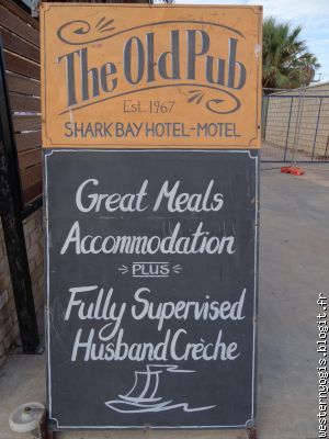 A Shark Bay on est en sécurité au pub !